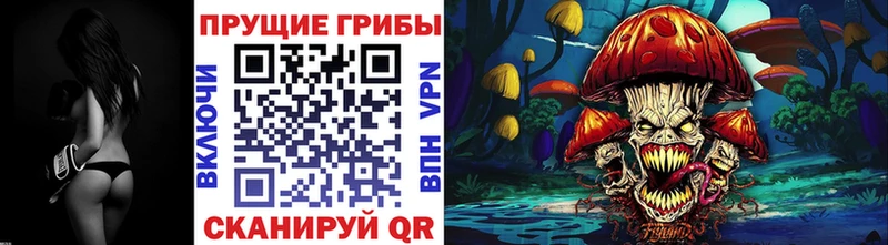 Галлюциногенные грибы мицелий hydra рабочий сайт Сегежа